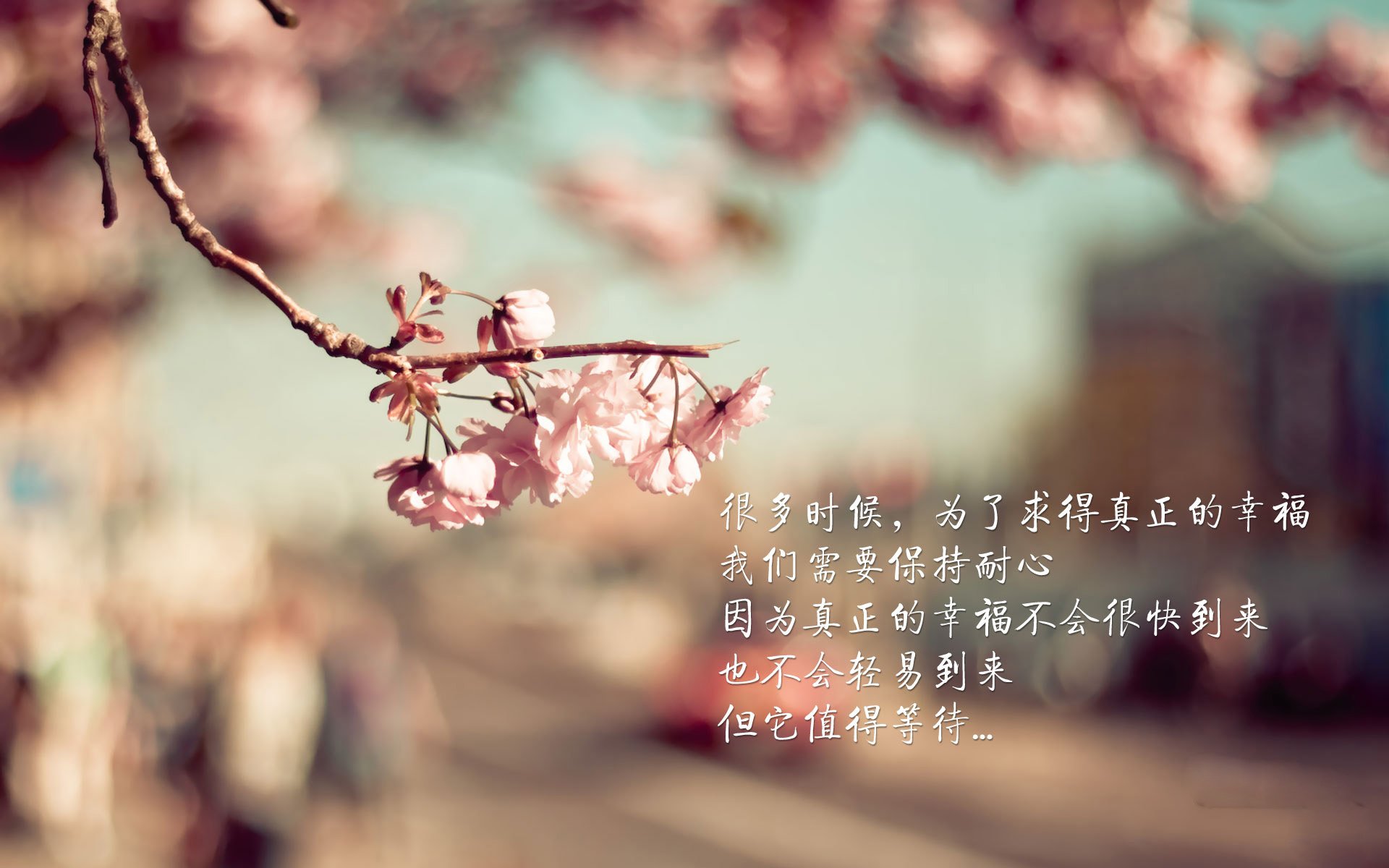 当团队轻取个人,德国队与安赛龙的竞技哲学启示