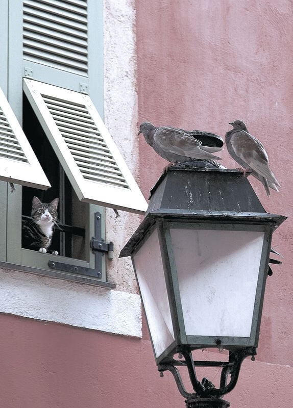 唯一性之战，当澳网的史诗碾压ATP总决赛的权杖，穆雷的制胜分如何定格历史