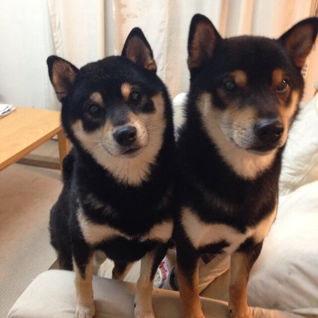 风暴之眼，洪都拉斯之夜与卡拉斯科的灵魂独舞