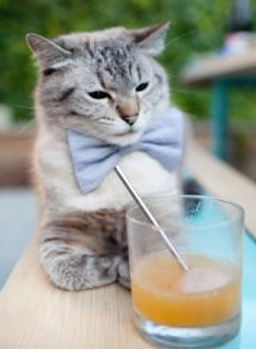 爱游戏tv-历史时刻的奇巧交汇，当约基奇当选MVP，广厦队正鏖战大洋彼岸的布鲁克林