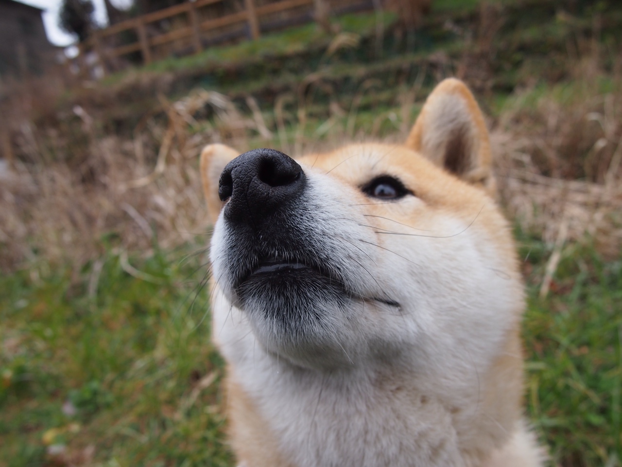 阿森纳式鏖战，当巴格达遇见欧冠决赛的布鲁诺