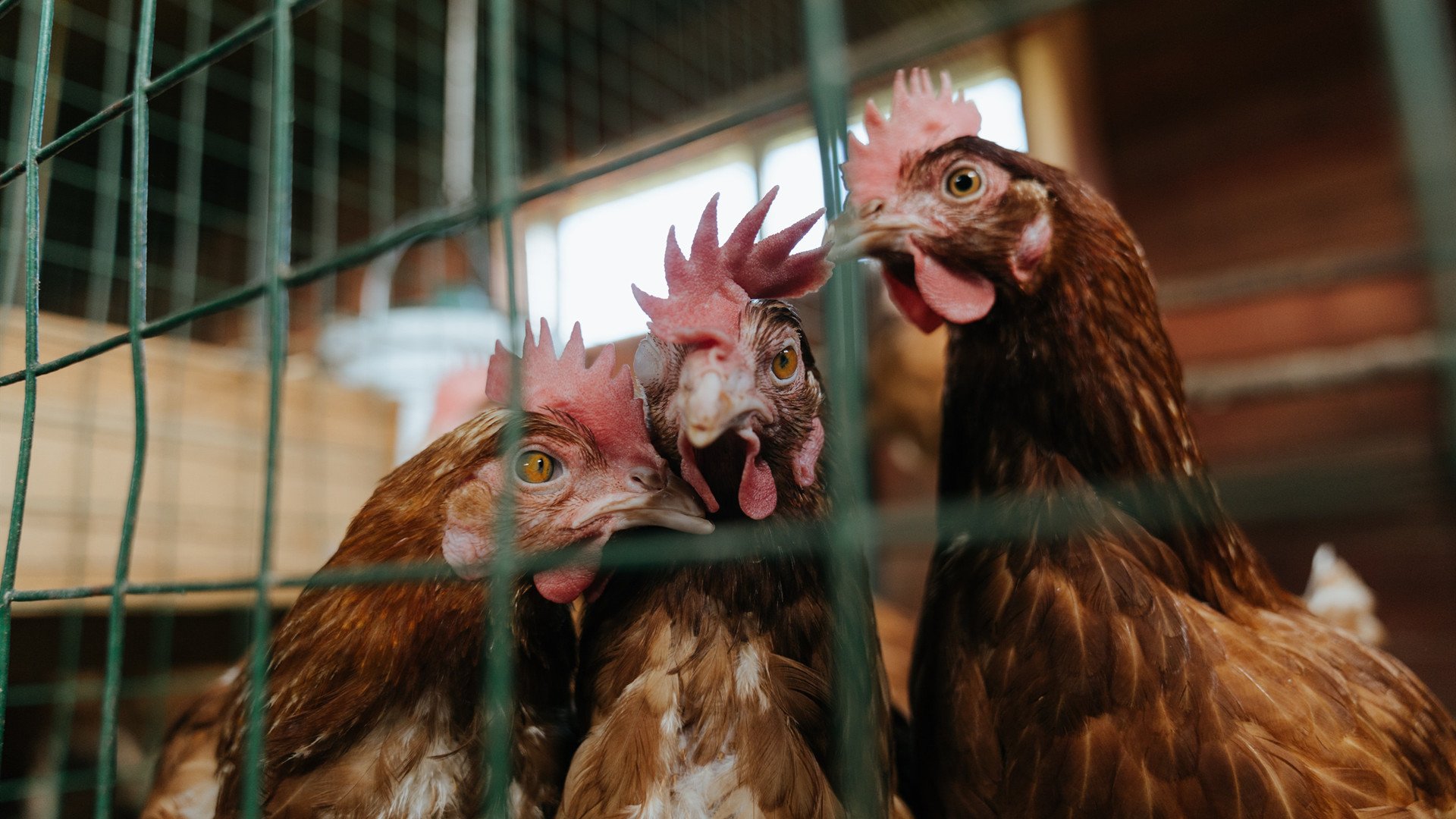 冰与火之歌，孔德用沉默铸就的制胜时刻