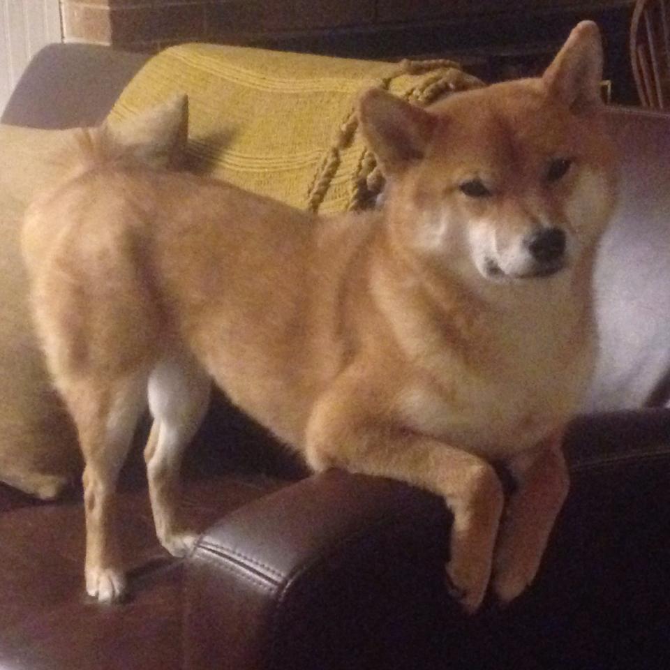 末节之王与火力全开，莫德里奇和摩洛哥的赛场传奇