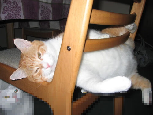 哈登封神之夜！历史级30+三双导演20分逆转，76人绝境斩落热火