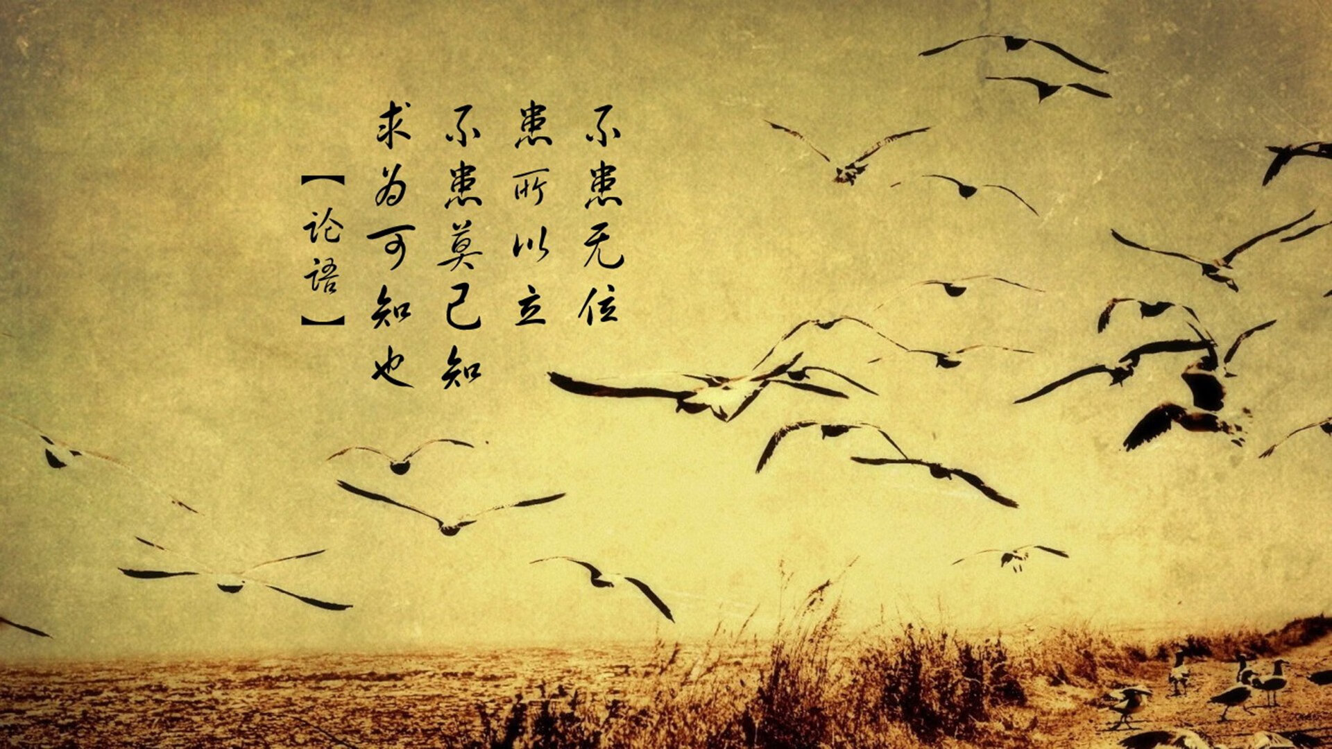 绅士刺客，英格拉姆于无声处收网，马刺末节冷血绞杀雄鹿