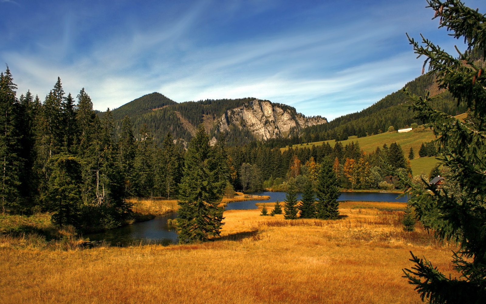 范弗利特的跨界指令,当骑士冲垮北京队,英超争冠突然倾斜
