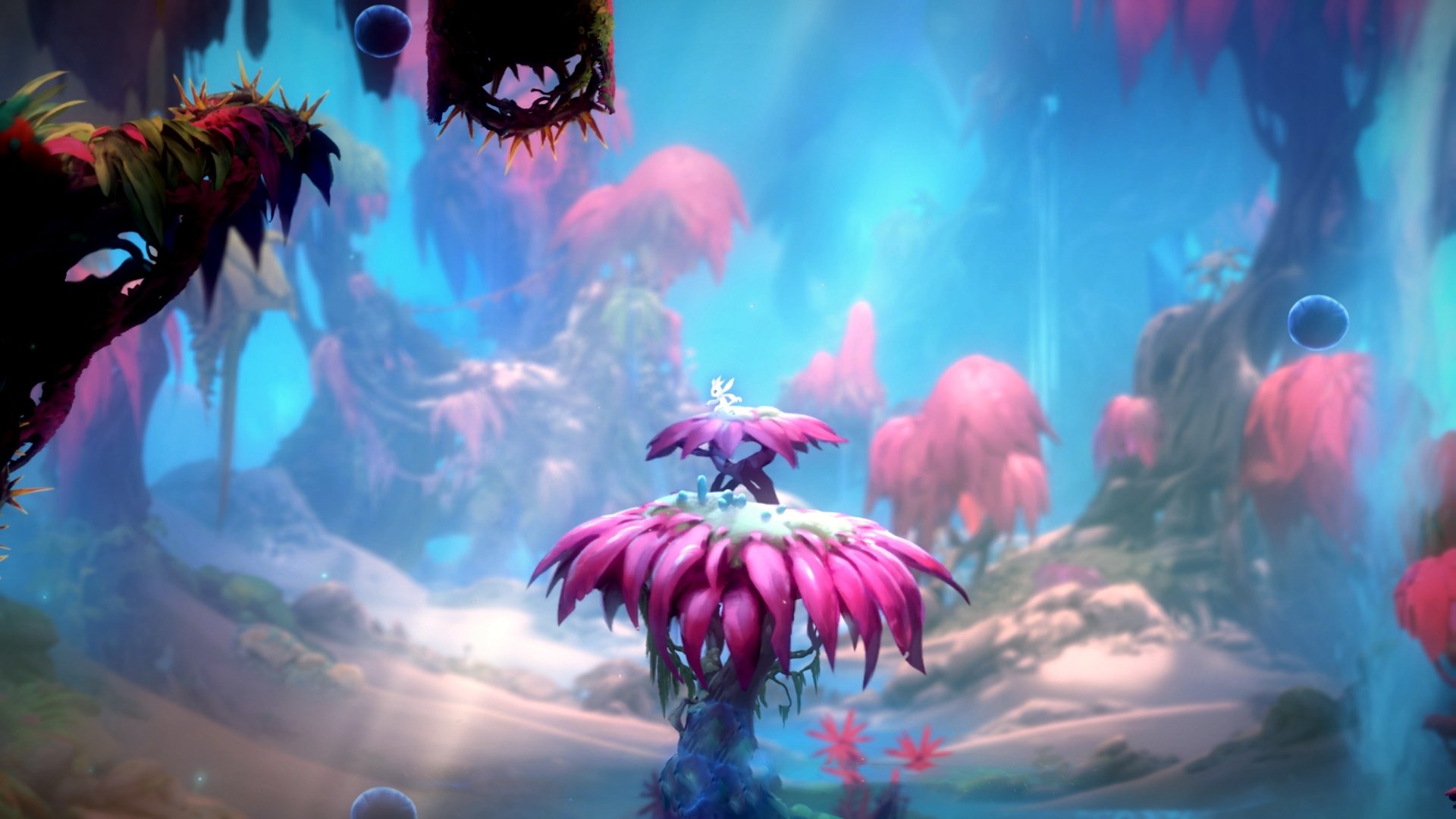 霓虹赛道,一停定乾坤,卡拉斯科在F1街道赛之夜的胜负手传奇