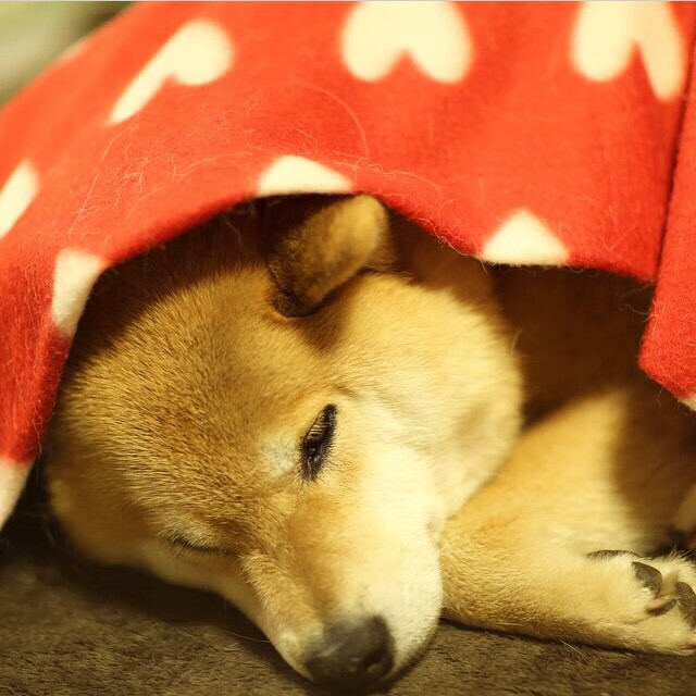 (精选)