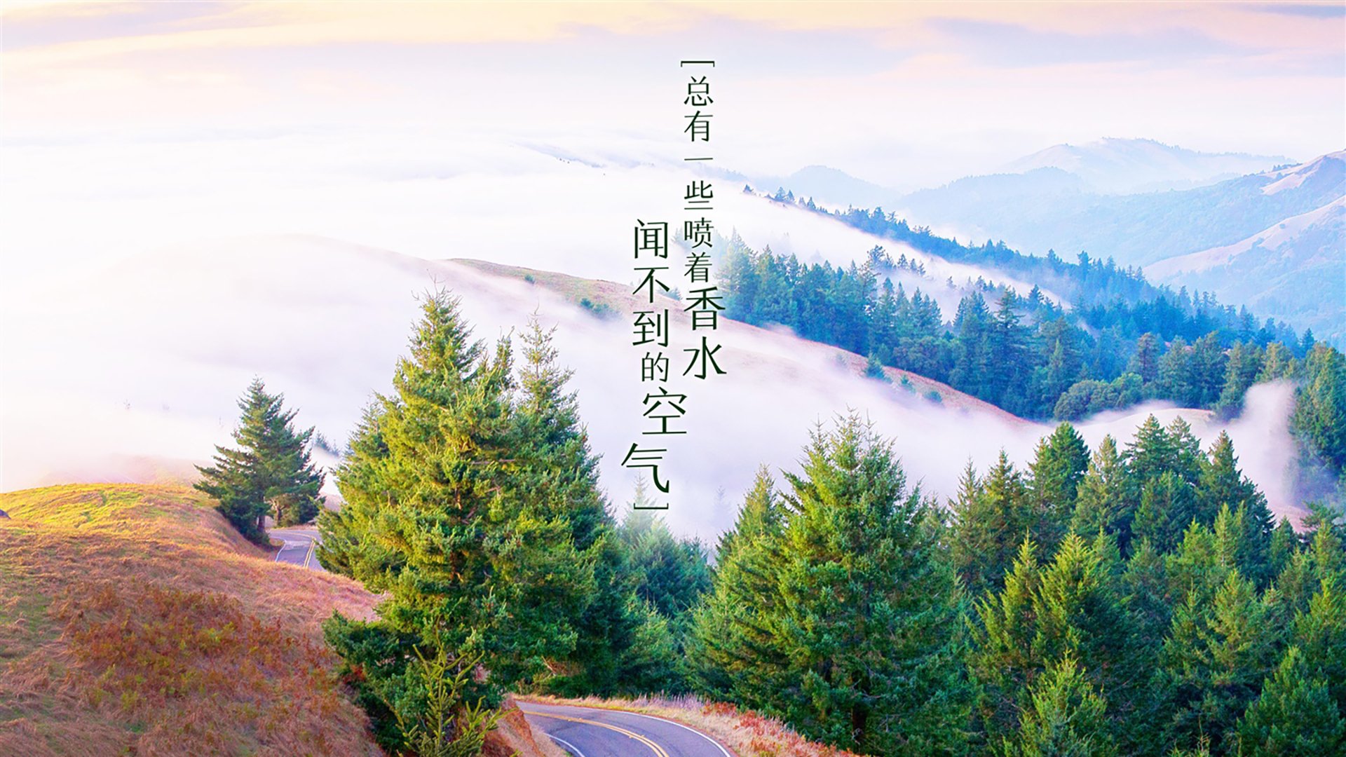 沙漠中的冷雨，当越南用节奏撕碎沙特，费利克斯的致命一击改写2026世界杯剧本