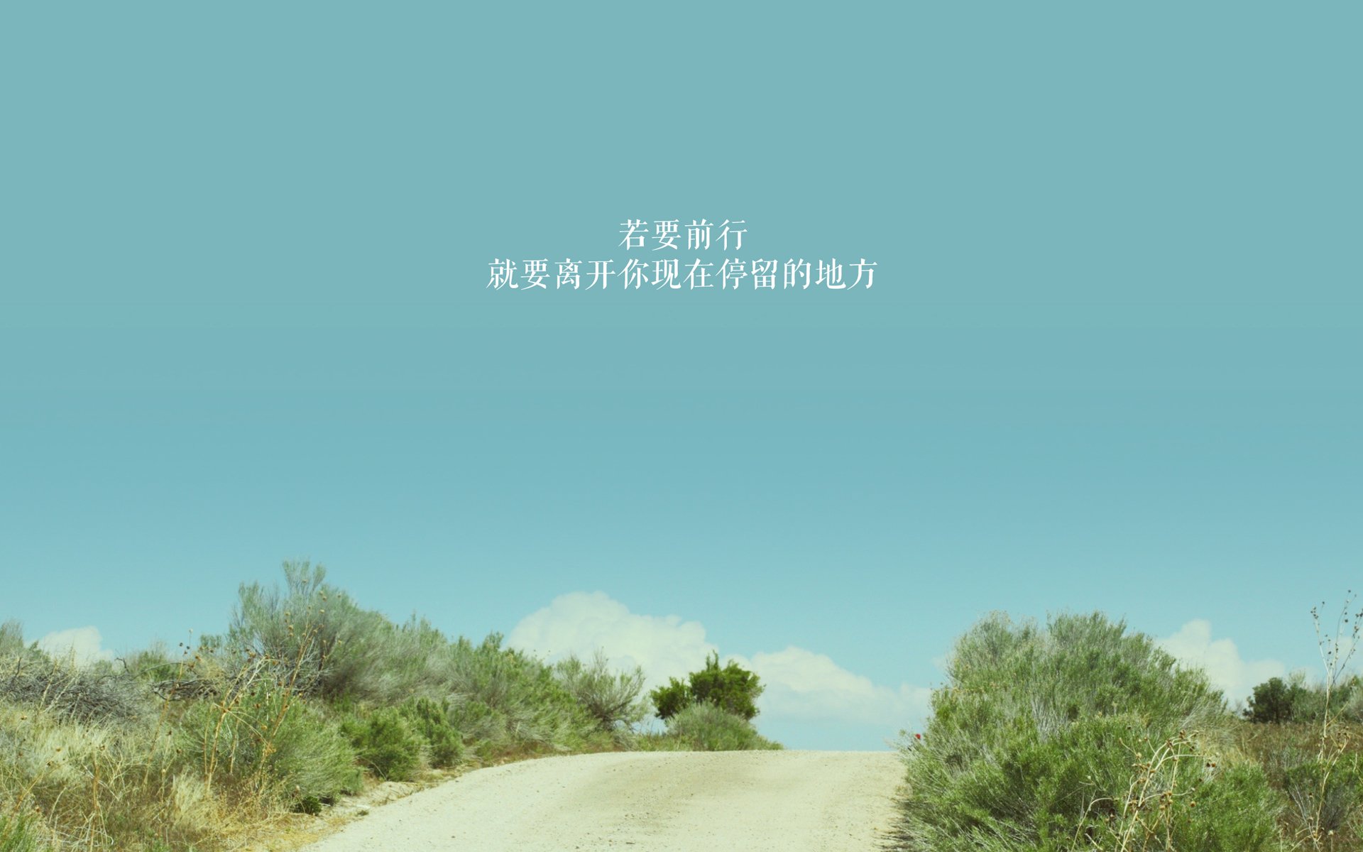 命运之弧，2026世界杯巅峰对决，哈基米如何用速度撕裂红魔防线