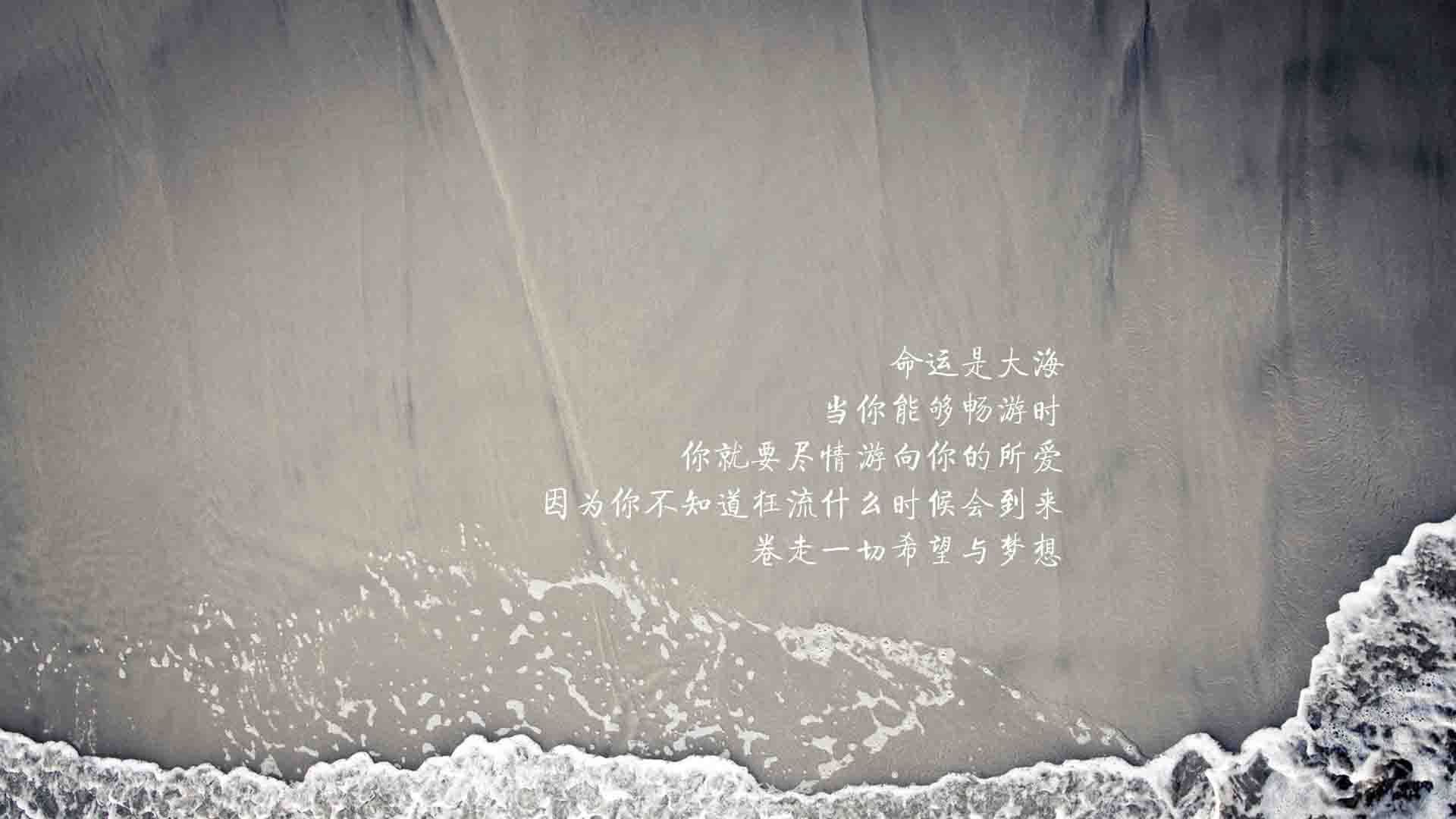 萨卡风暴席卷沙漠之师—2026世界杯H组焦点战,斯洛伐克如何用凌厉进攻压垮伊朗